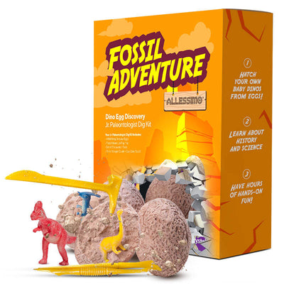 Dino Egg Discovery