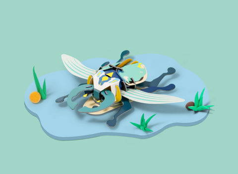 Stag Beetle