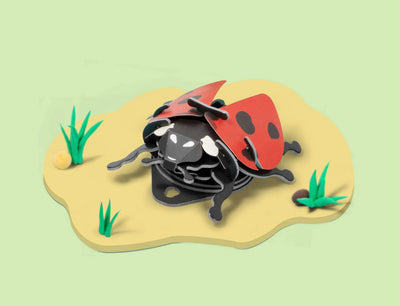 Lady Beetle