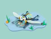 Stag Beetle