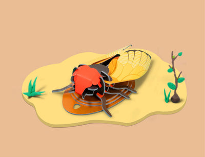 Chirping Cicada